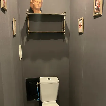 Au Trois Six Tres Confortable Duplex Climatise Au Coeur De * Pézenas